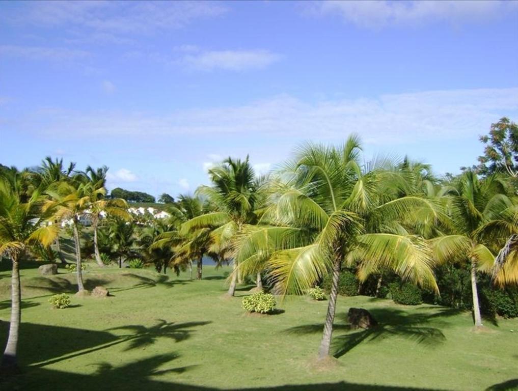 Rio Mar Village - Golf Course View ริโอกรันเด ภายนอก รูปภาพ